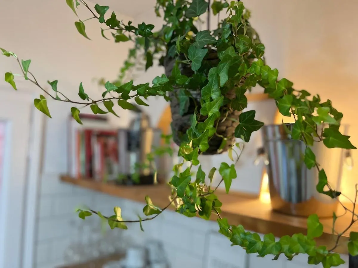 Apartment Charming Appartement In The Heart Of Barcelona